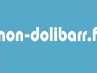 mon-dolibarr.fr